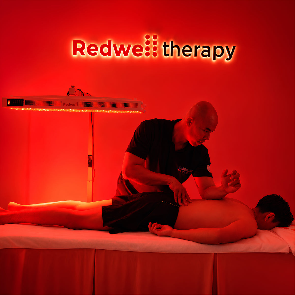 Recovery Therapy Training
